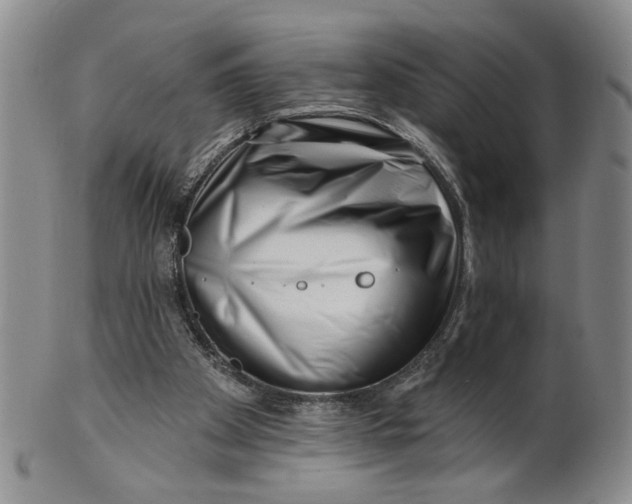 X0000100750105200807101713