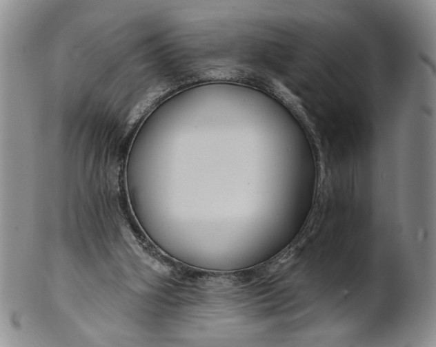 X0000100750106200807101713