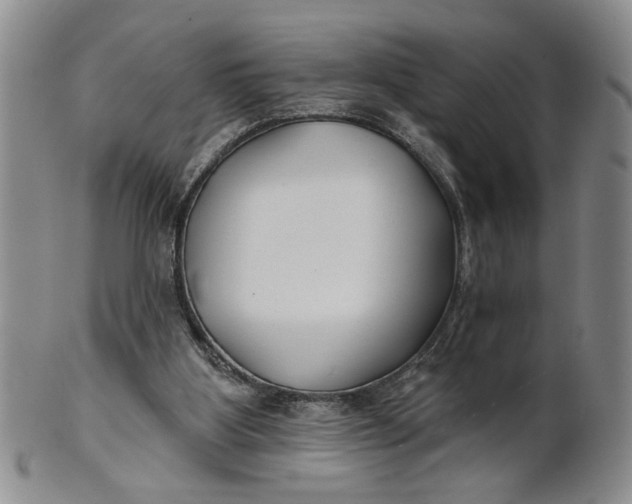 X0000100750107200807101713