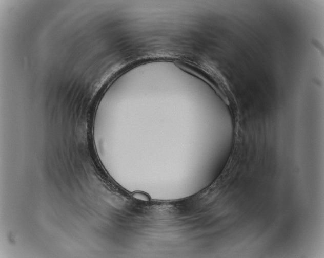 X0000100750108200807101713