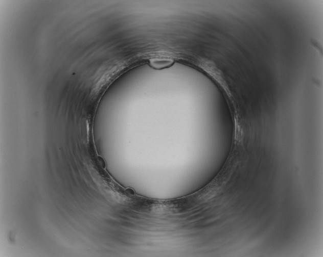 X0000100750109200807101713