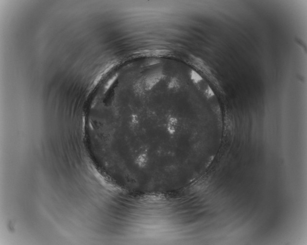 X0000100750110200807101713