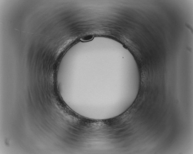 X0000100750112200807101713