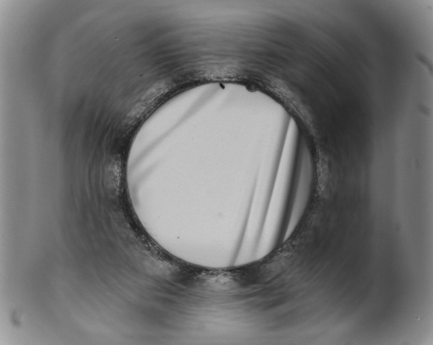 X0000100750113200807101713