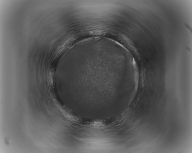 X0000100750114200807101713