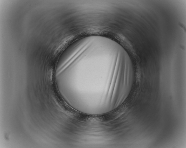 X0000100750115200807101713