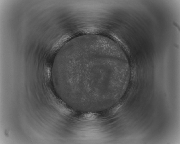 X0000100750117200807101713