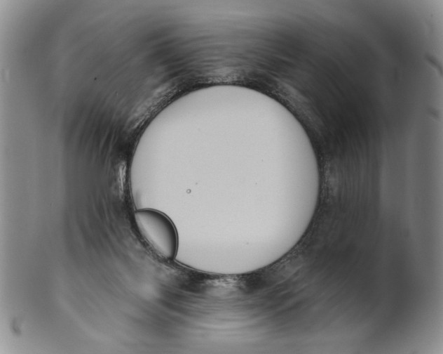 X0000100750118200807101713