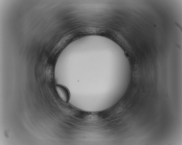 X0000100750119200807101713