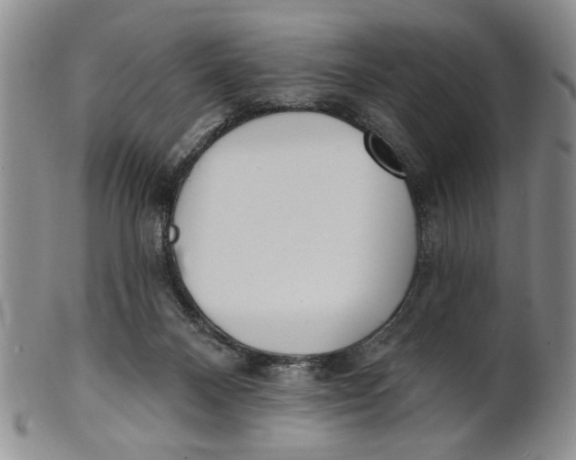 X0000100750120200807101713