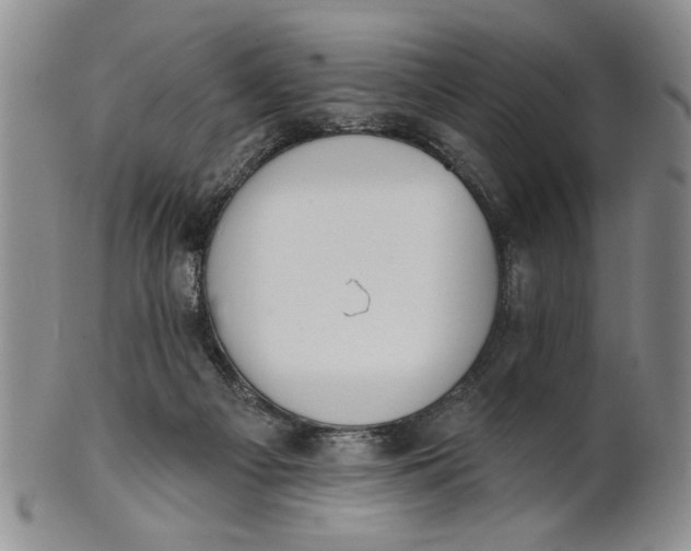 X0000100750121200807101713