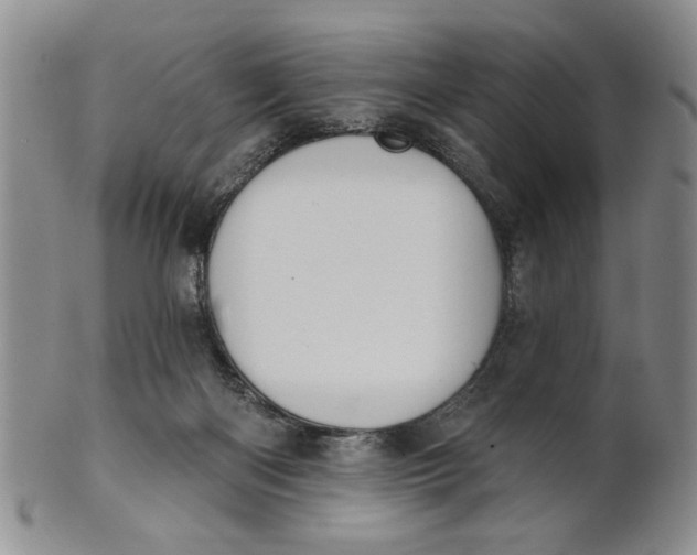 X0000100750122200807101713