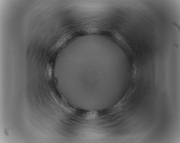 X0000100750124200807101713