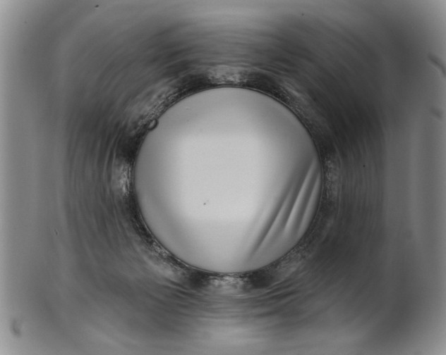 X0000100750125200807101713