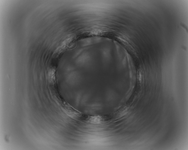 X0000100750127200807101713