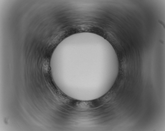 X0000100750129200807101713