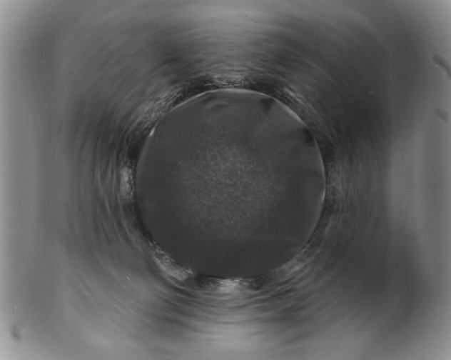 X0000100750130200807101713