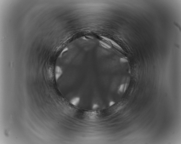 X0000100750131200807101713