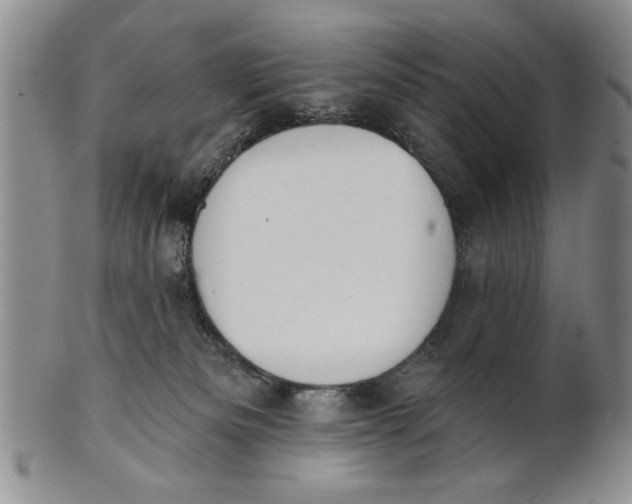 X0000100750133200807101713