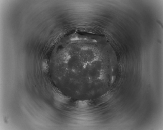 X0000100750134200807101713