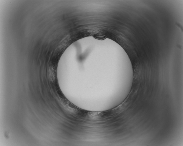 X0000100750136200807101713