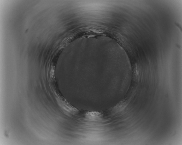 X0000100750137200807101713