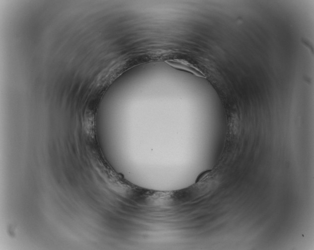 X0000100750138200807101713