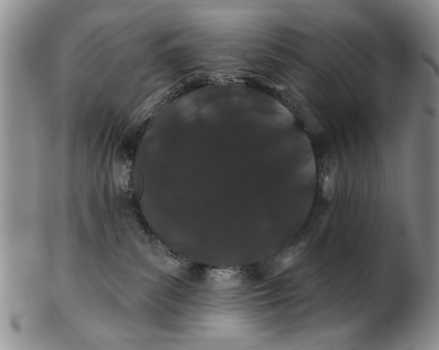 X0000100750139200807101713