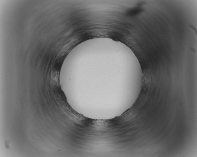 X0000100750141200807101712