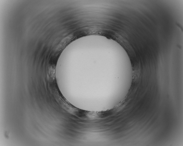 X0000100750142200807101712