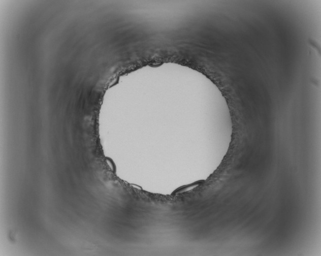 X0000100750144200807101712