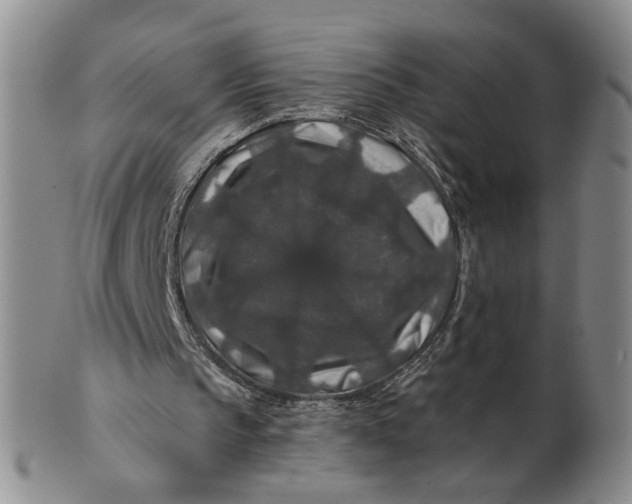 X0000100750145200807101712