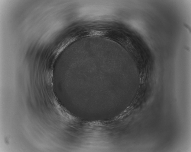 X0000100750146200807101712