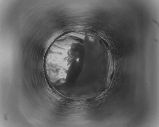 X0000100750147200807101712