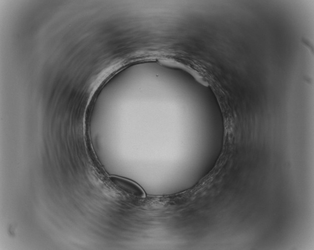 X0000100750148200807101712