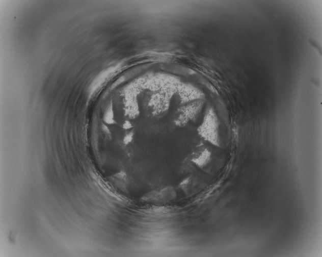 X0000100750149200807101712