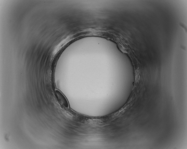 X0000100750150200807101712