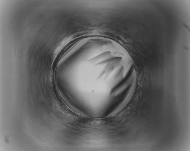 X0000100750152200807101712