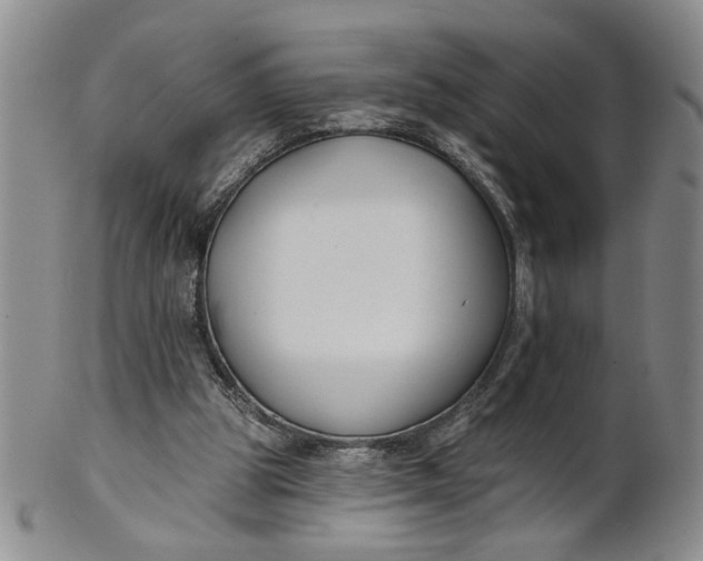 X0000100750153200807101712