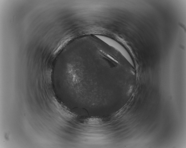 X0000100750154200807101712