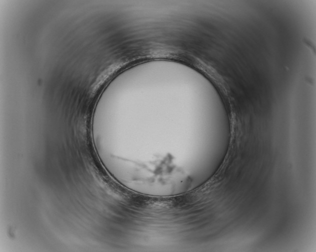 X0000100750155200807101712