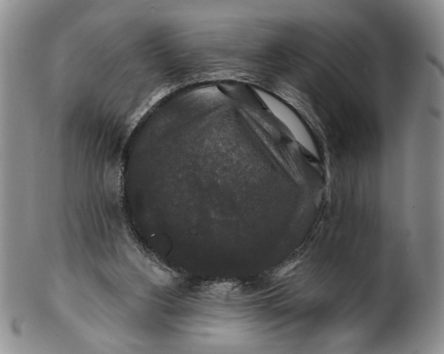 X0000100750156200807101712