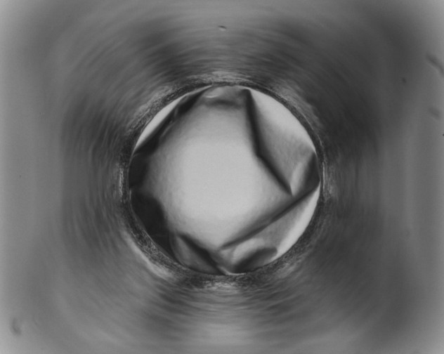 X0000100750157200807101712