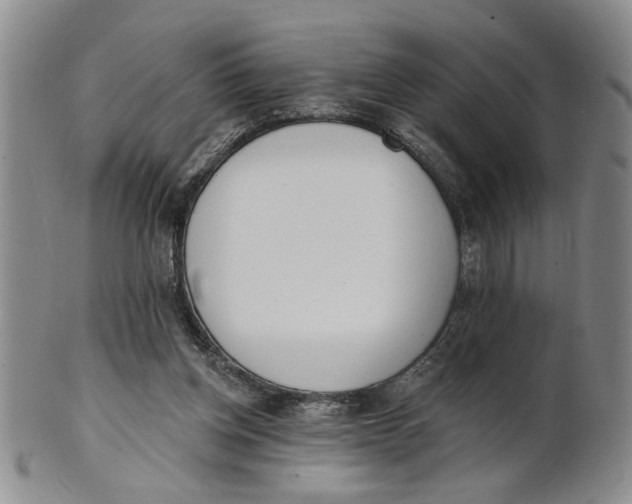 X0000100750158200807101712