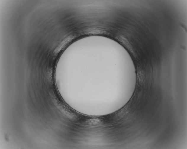 X0000100750159200807101712