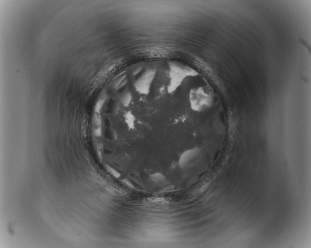 X0000100750161200807101712