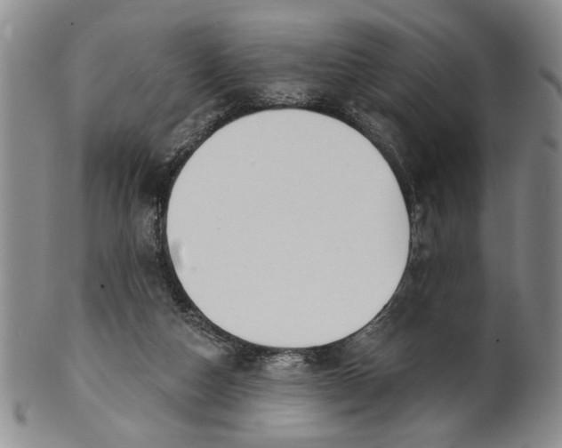 X0000100750162200807101712