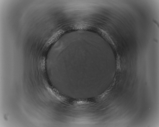 X0000100750163200807101712