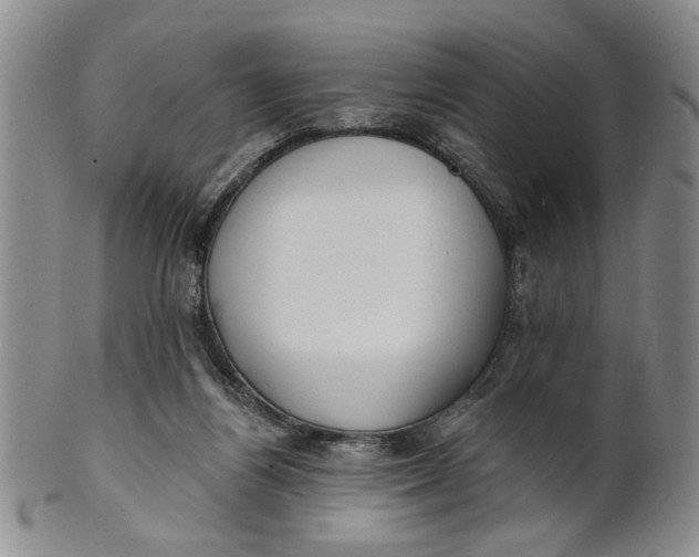 X0000100750164200807101712