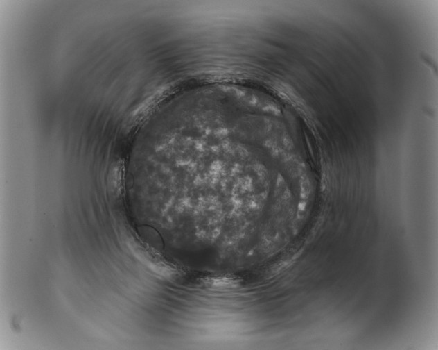 X0000100750165200807101712